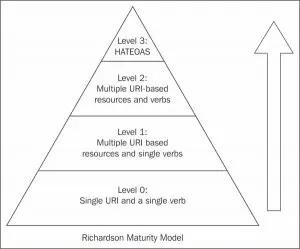 Richardson Maturity Model